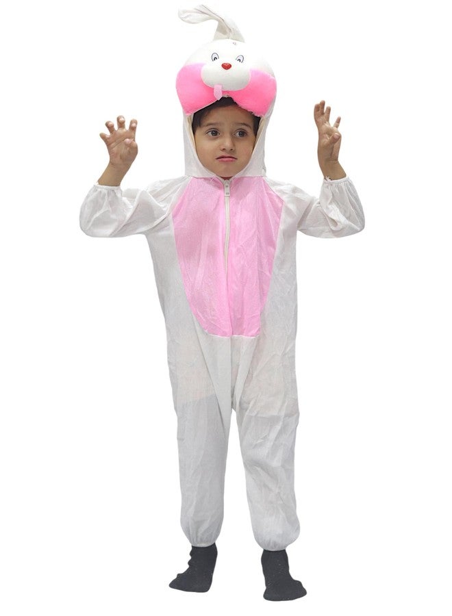 TWINKLE TOTS Animal Costume For Kids | Animal Fancy Dress For Boys & Girls - Image 1
